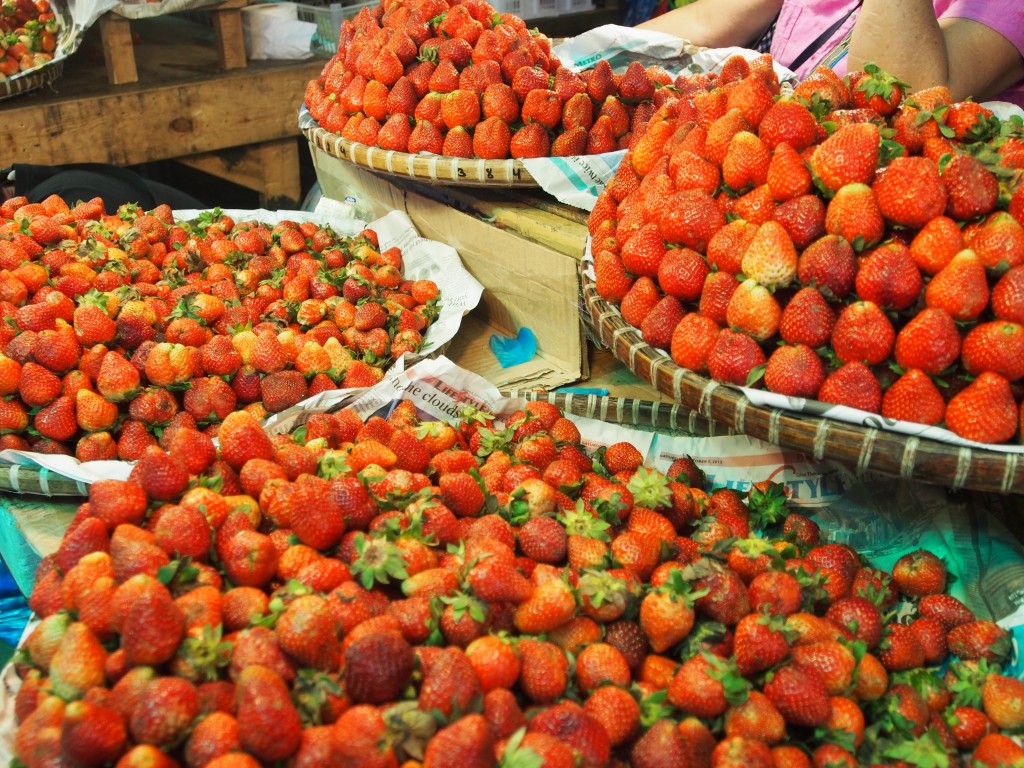 baguio strawberries panagbenga festival